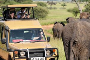 Wanderlust Dreams: Top 10 Inspiring Journeys Around the Globe 7 Safari in the Serengeti: Africa Wild Heart